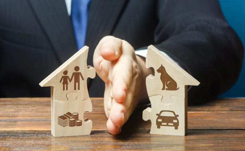 Enjoying the Ride: Getting divorced or considering it?
