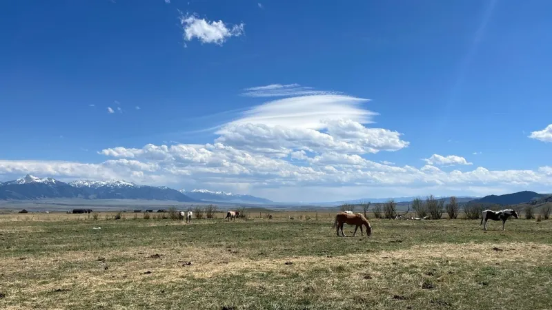 Conservation easement protects 394-acre Madison County ranch