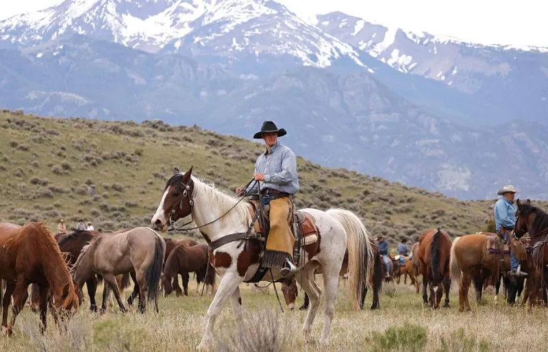 Could Montana Survive as Its Own Country? This Theory Says Yes
