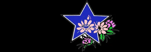Help wanted -- Bitter Root Irrigation Dist. manager