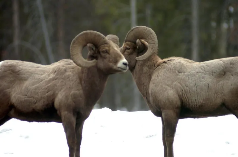 Viewpoint: Hunters and anglers won't be duped