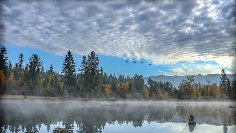 New FWP study identifies key streams for Swan River bull trout recovery
