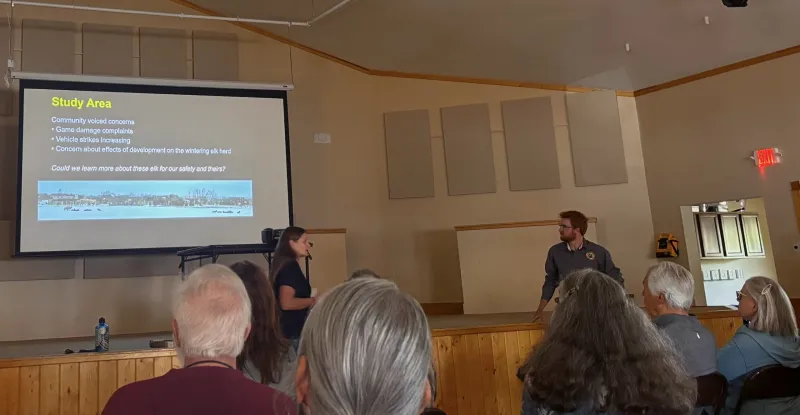 Wild Neighbors: Looking at animal activity in Gallatin Gateway