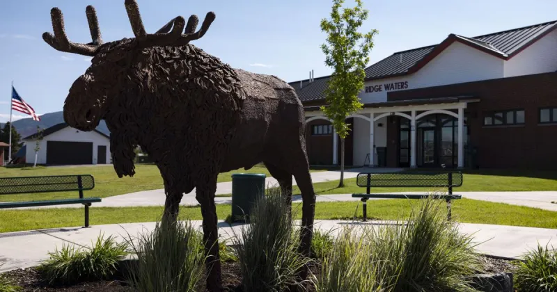 Stodden statue: Moose moves in at Ridge Waters