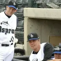 New York Mets name interim manager with ties to Missoula Osprey