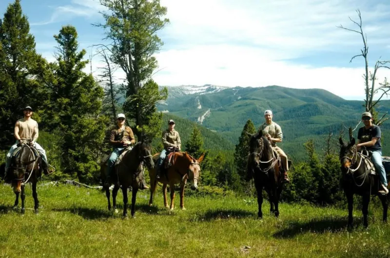 Global Star Hints Return to Montana... Is He Moving Here?
