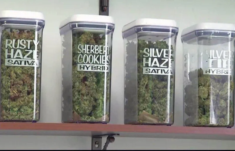 Missoula places moratorium on new marijuana dispensaries