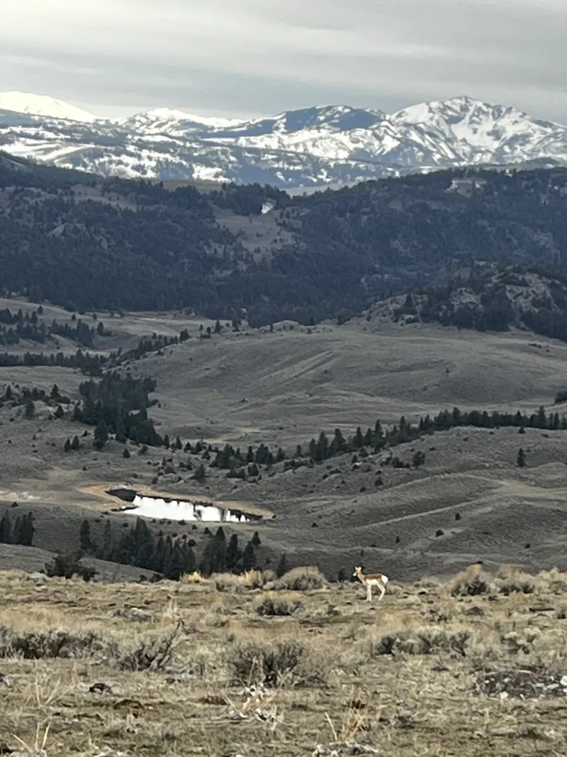 Dispatches from the Wild: Together for the common good