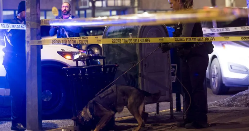 Man pleads guilty to criminal endangerment for downtown Missoula gunshots
