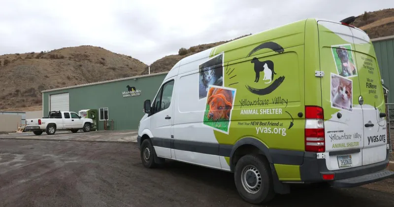 Billings reopens door for YVAS to provide animal-control services amidst funding dispute