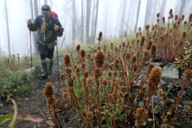 This Popular Hiking Trail Is Now Open in Glacier National Park