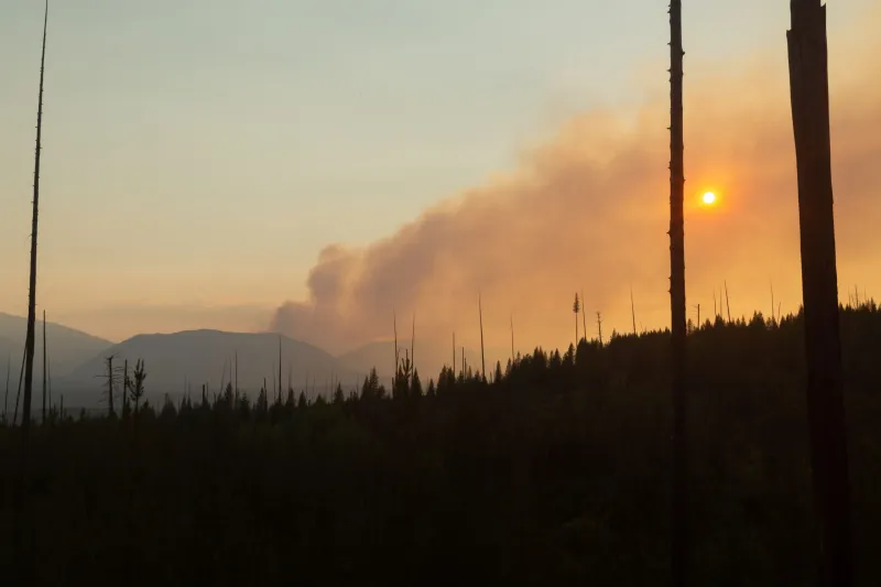 How to stay safe from wildfire smoke