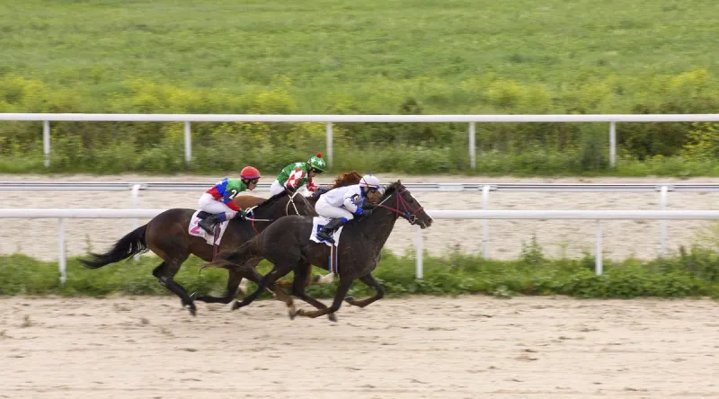 Livestock Auction Horse Racing & Veterans All Coming Together In Browning