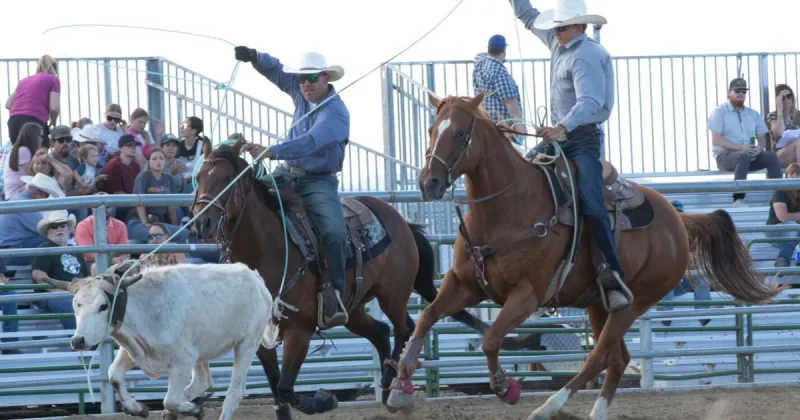 The mane event: East Helena's In-County Rodeo kicks off a buckin' good weekend