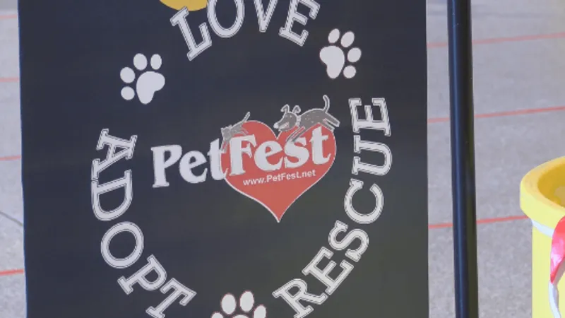 Kalispell second annual Pet Fest brings local rescues, shelters together