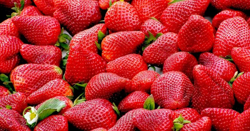 One of Darby's 'sweetest traditions': Strawberry Festival set for July 18 at Main Street Park
