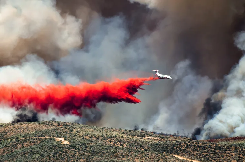 Letter to the Editor: Fire retardant contains toxic metals