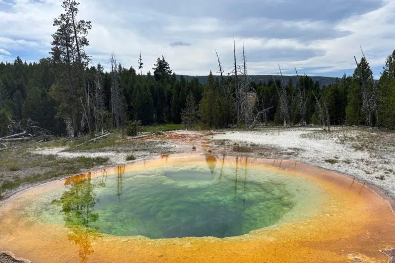 Yellowstone Tourist Tries Tasting Dangerous Thermal Water in Viral Video