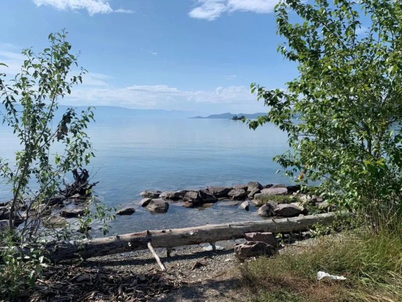 Analysis finds 'forever chemicals' in Flathead watershed