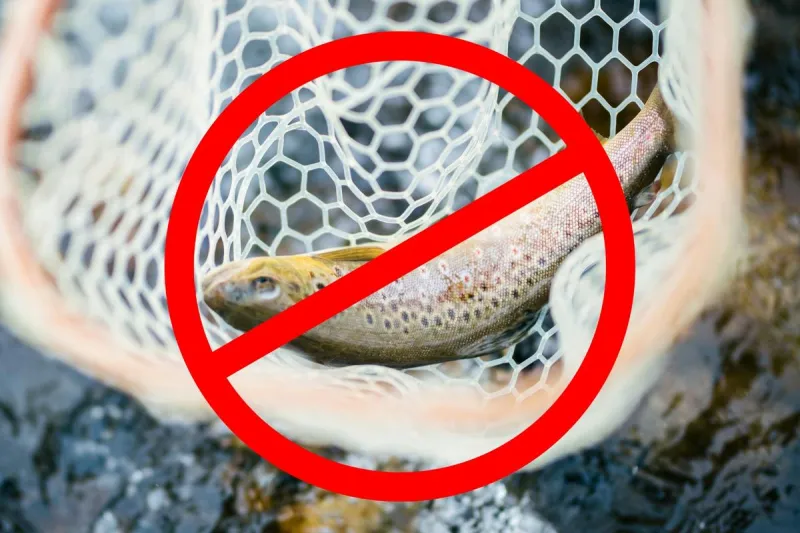 What You Need to Know About Montana "Hoot Owl" Restrictions