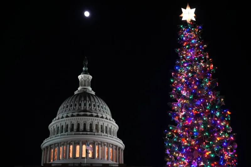 U.S. Capitol Christmas Tree is Coming From Nez Perce-Clearwater National Forest