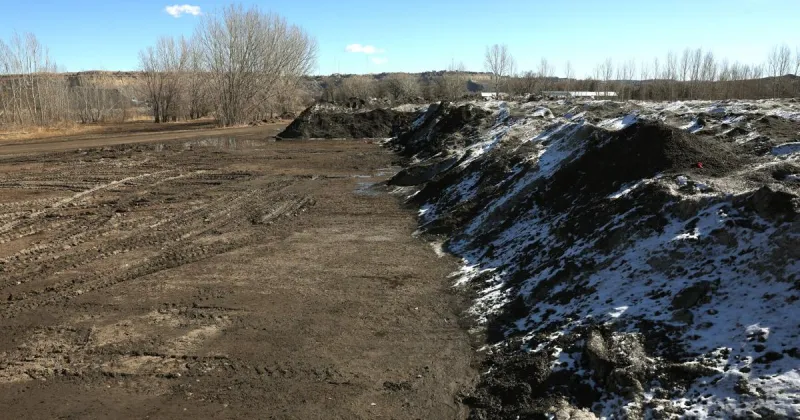 Billings negotiating with school district to lease city-owned Wilson Park for bus barn