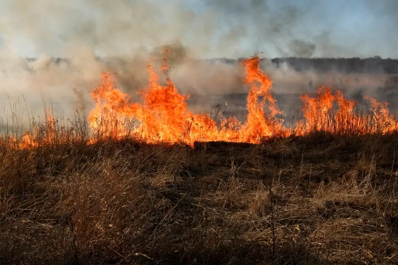 Wildfire Wire: Are we still holding our breath?