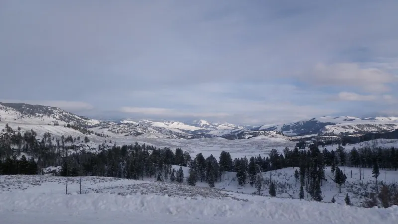 Yellowstone snowmobile permit lottery to open next weekend