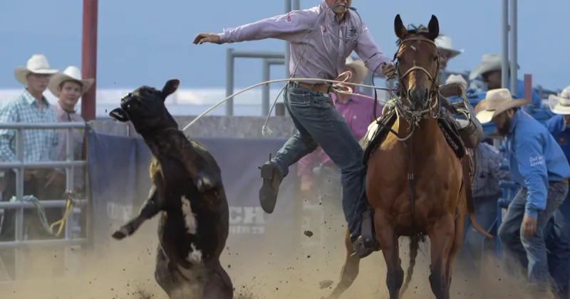 Helena's Last Chance Stampede and Fair rodeo underway at fairgrounds