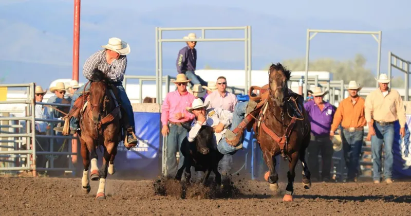 Helena's Austin Whitehouse sets a new record on second day of Last Chance Stampede
