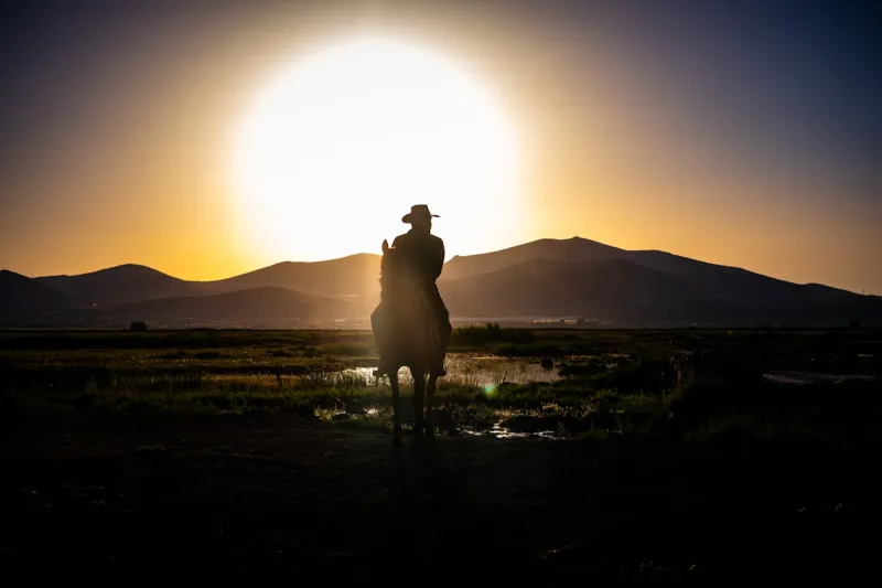 How Montana Saved and Shaped the American Cowboy