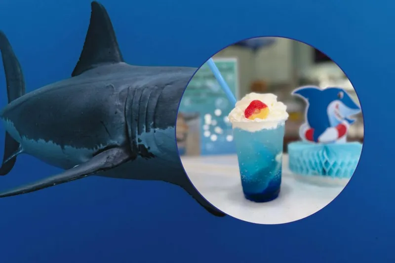 Shark Week Hits Billings With the Shark Attack Drink at Candy Town USA