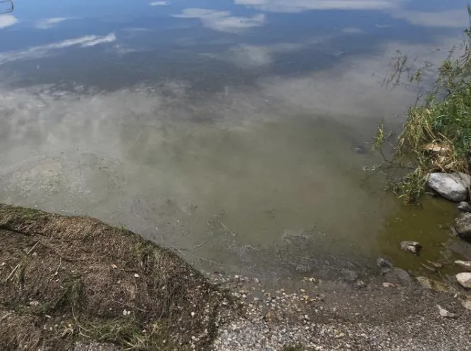 Harmful algal blooms found on Hebgen Reservoir