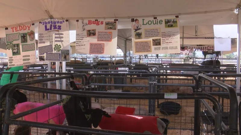 Butte-Silver Bow Fair kicks off on Thursday