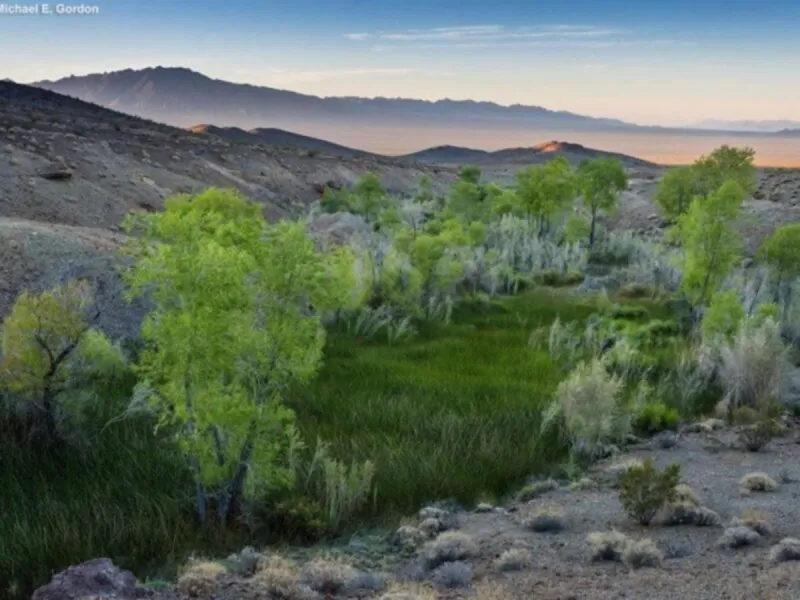 Tribes sue feds over renewed approval of Mojave Desert pipeline