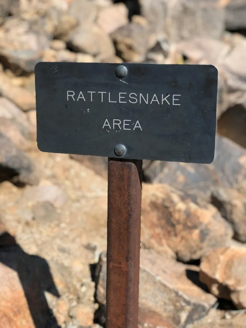 Montana Child Bitten By Rattlesnake While Visiting Popular River