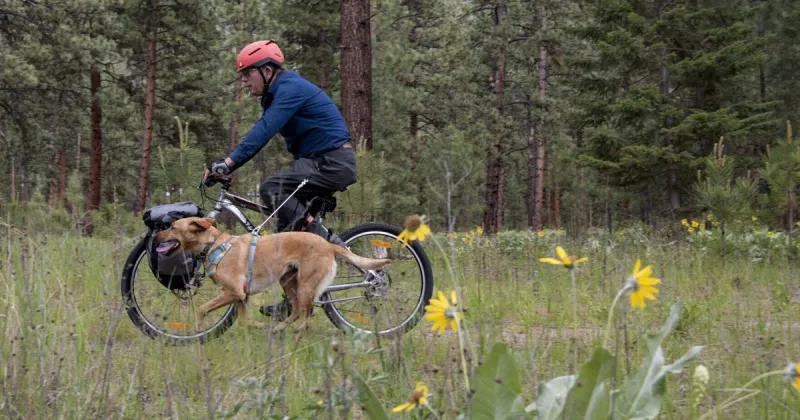Missoula to develop connections plan for Great American Rail-Trail system