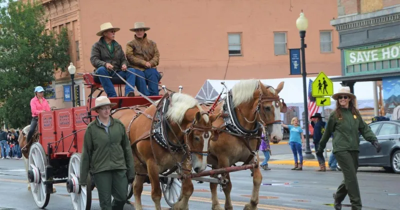 'Homegrown and Homemade' theme for Tri-County Fair