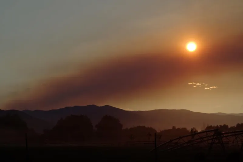 Study: Wildfire smoke now top pollutant affecting pregnancy