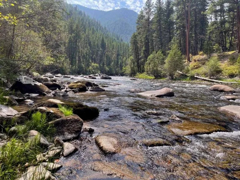 Fishing restrictions placed on more Montana rivers
