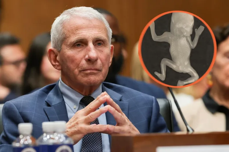 Montana Lab Research Sparks Outrage at Fauci Hearing