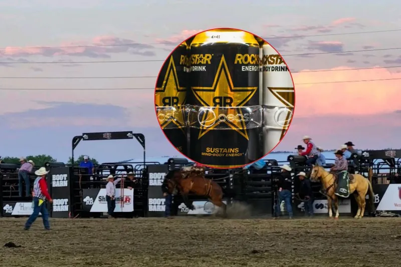 Rodeo Like a Rockstar at MontanaFair with Cat Country 102.9
