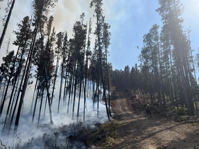Missoula County issues emergency wildfire proclamation