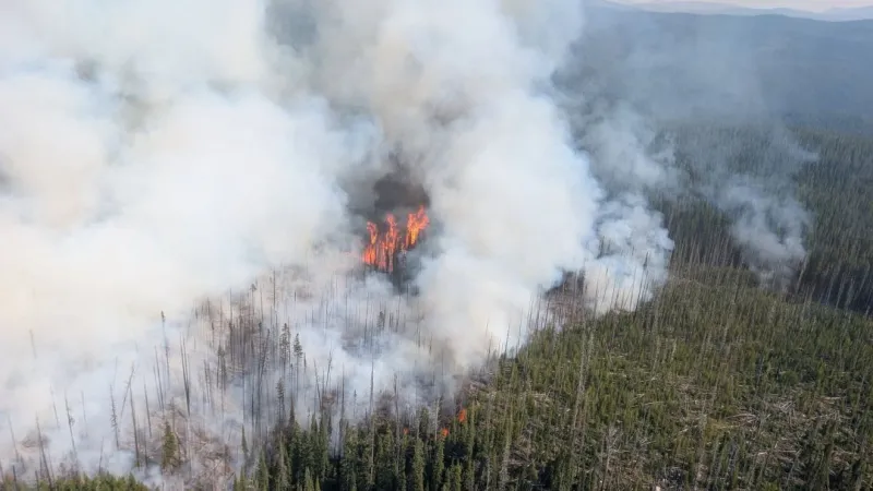 Granite Co. issues red evacuation order for Frog Pond Basin due to Moose Fire