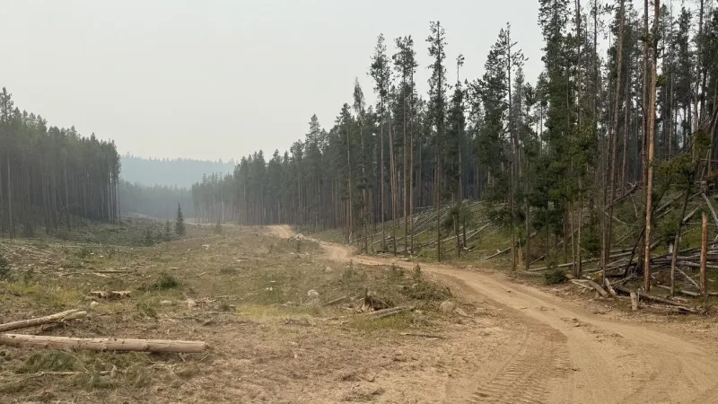 Moose Fire burning 3,544 acres southwest of Philipsburg, evacuation orders in place