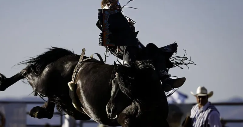 Three Montanans earn buckles in Missoula Stampede rodeo