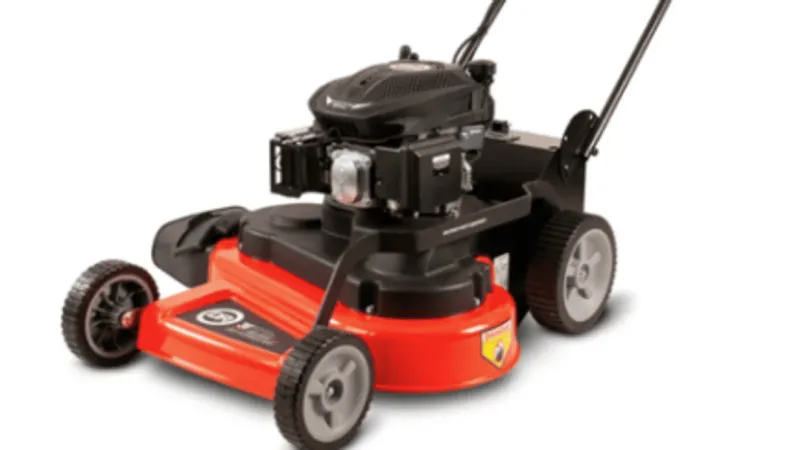 DR Power lawn mowers, adult bed rails recalled over injury hazards