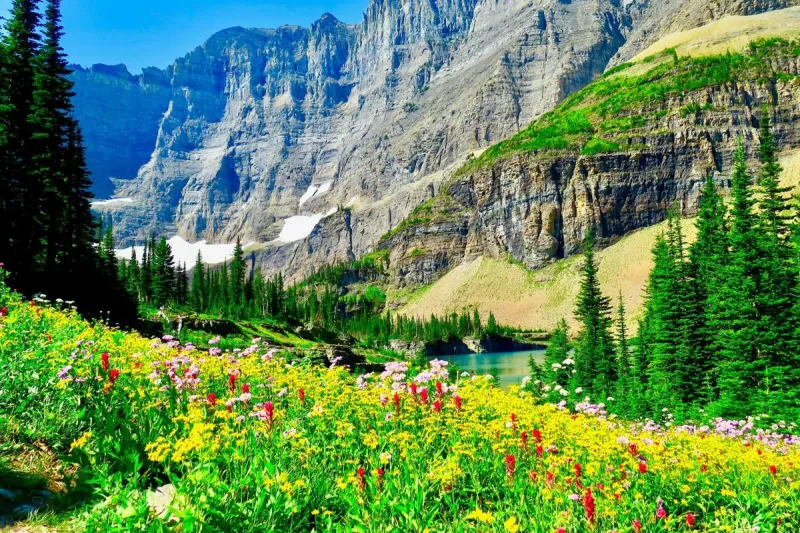 What Are The Big 4 Glacier National Park Hikes?