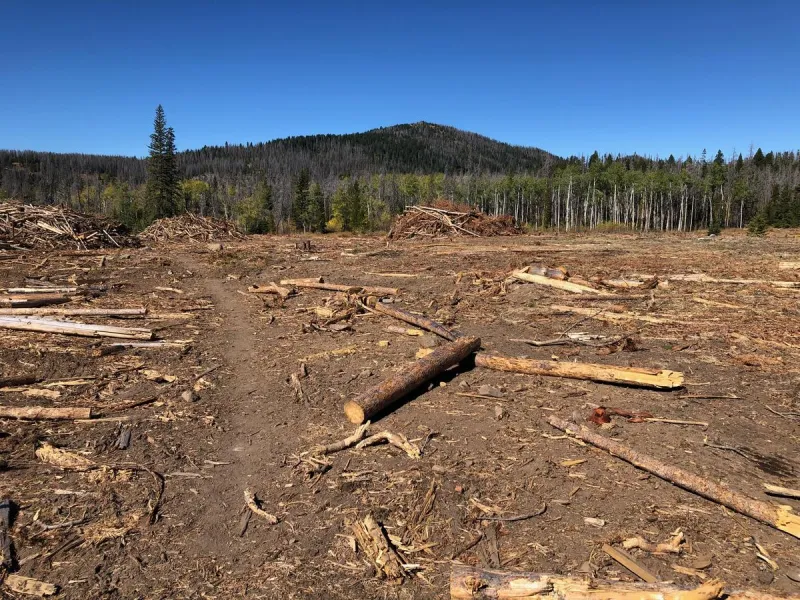 Viewpoint: Motorized 'wreckretion' fears Alliance for Rockies