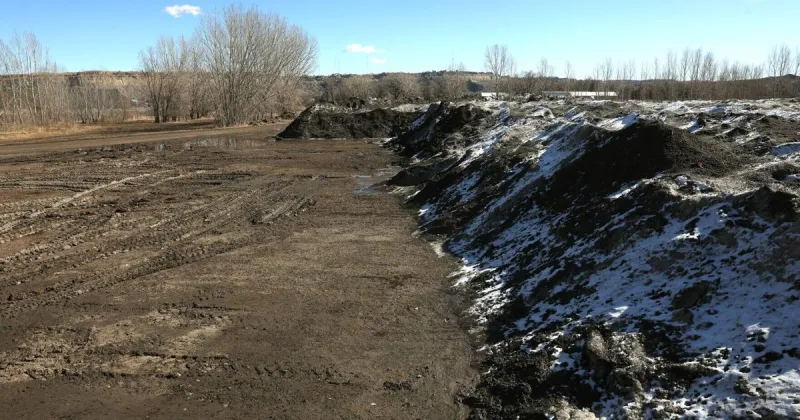 Voters likely to decide if undeveloped Billings park should house school buses